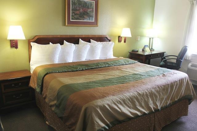 Rodeway Inn & Suites Nashville Room photo